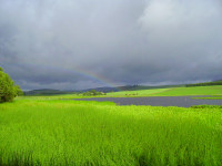 Loch of Kinnordy